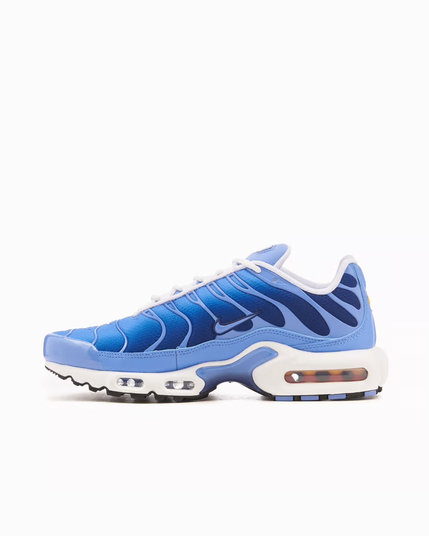 Nike Air Max Plus Royal Pulse Blue