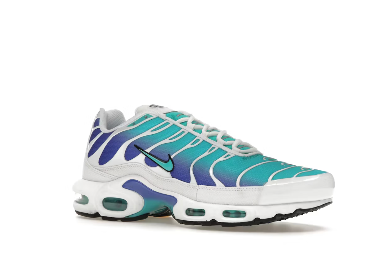 Nike Air Max Plus Aqua