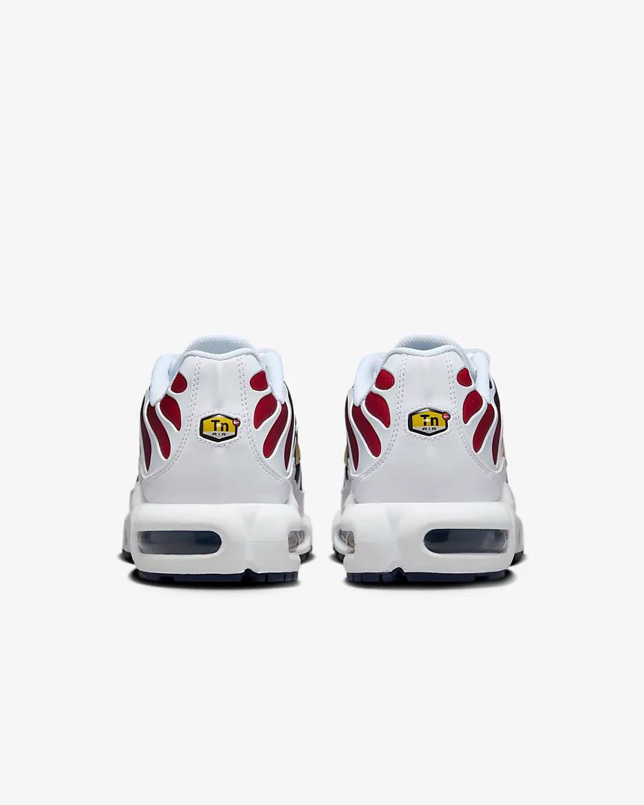 Nike Air Max Plus PSG