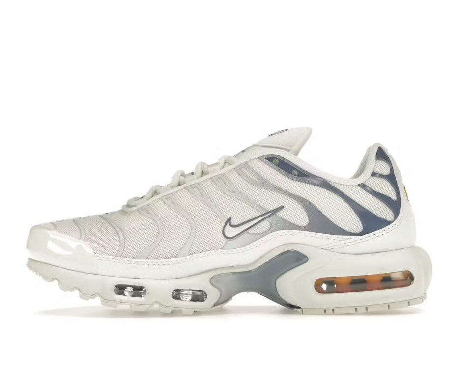 Nike Air Max Plus Ashen Slate