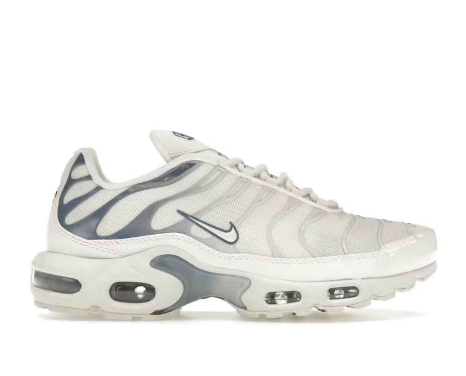 Nike Air Max Plus Ashen Slate