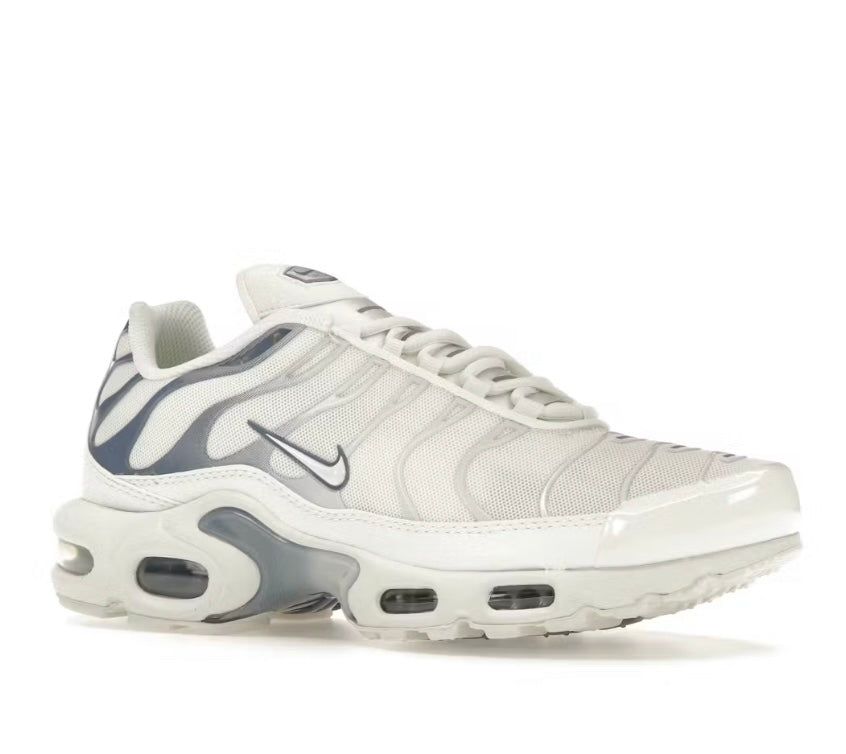 Nike Air Max Plus Ashen Slate