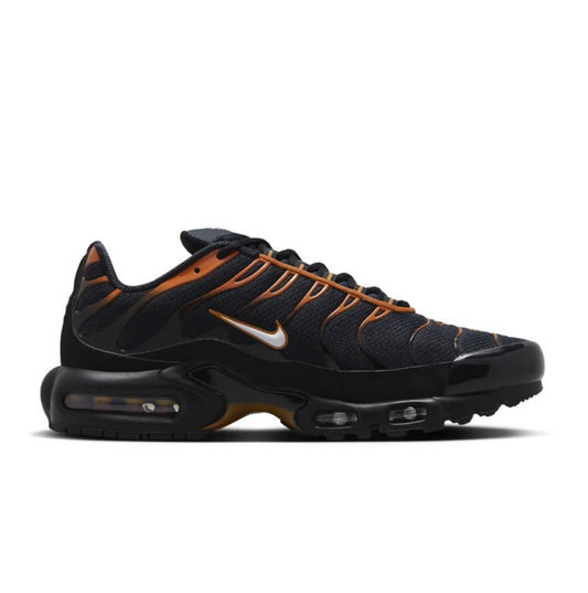 Nike Air Max Plus Dark Obsidian Monarch