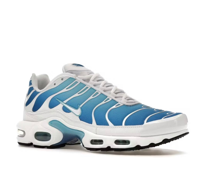 Nike Air Max Plus Sky Blue