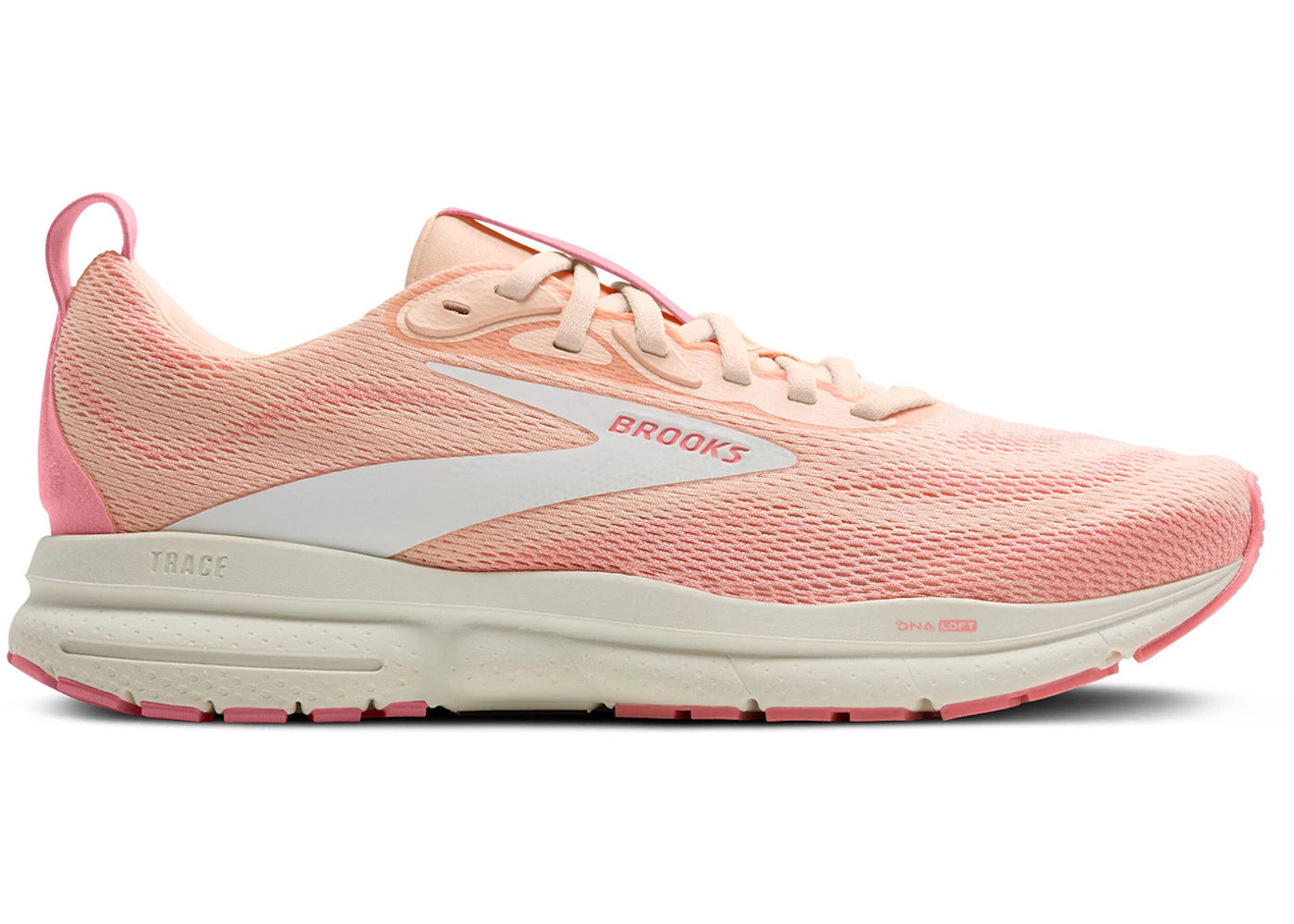 Brooks Trace 4 Tropical Peach Dianthus Grey
