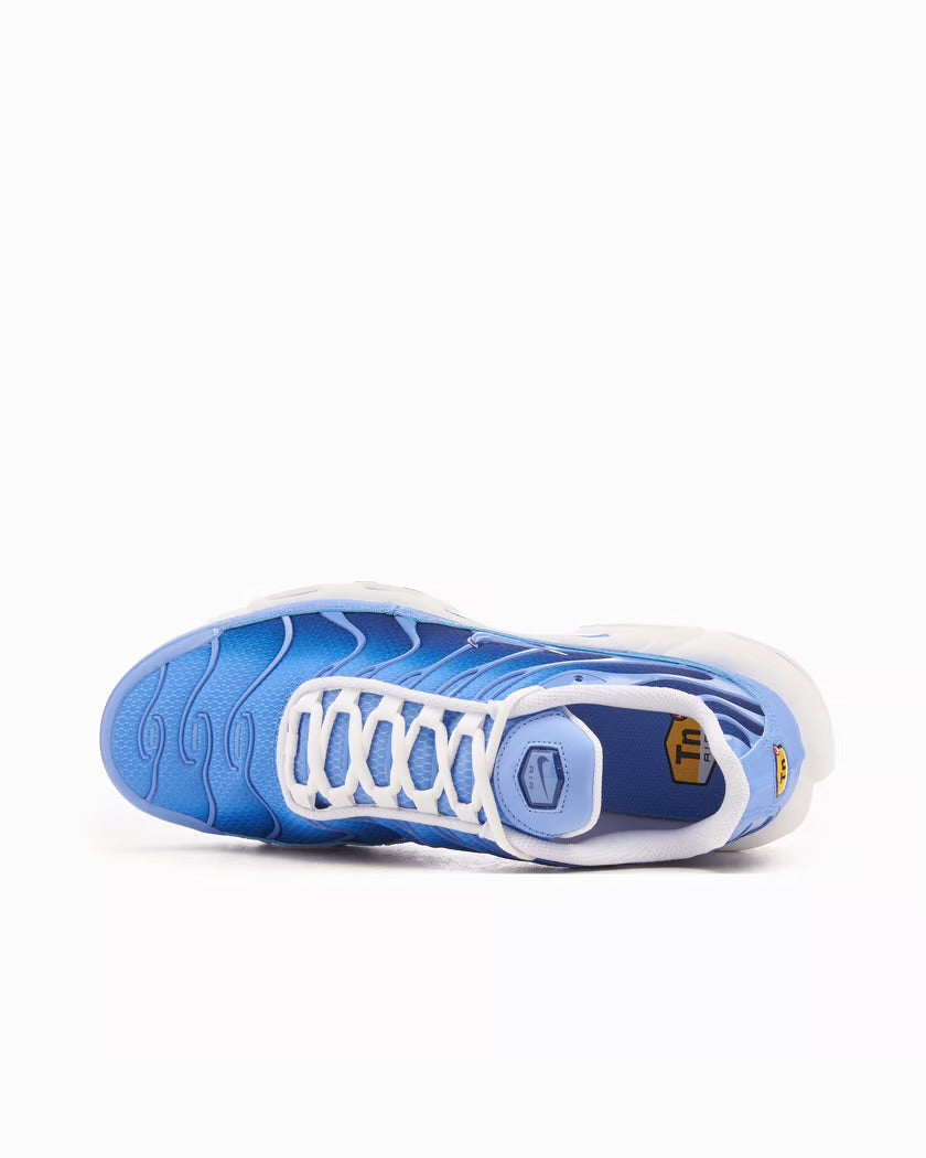 Nike Air Max Plus Royal Pulse Blue