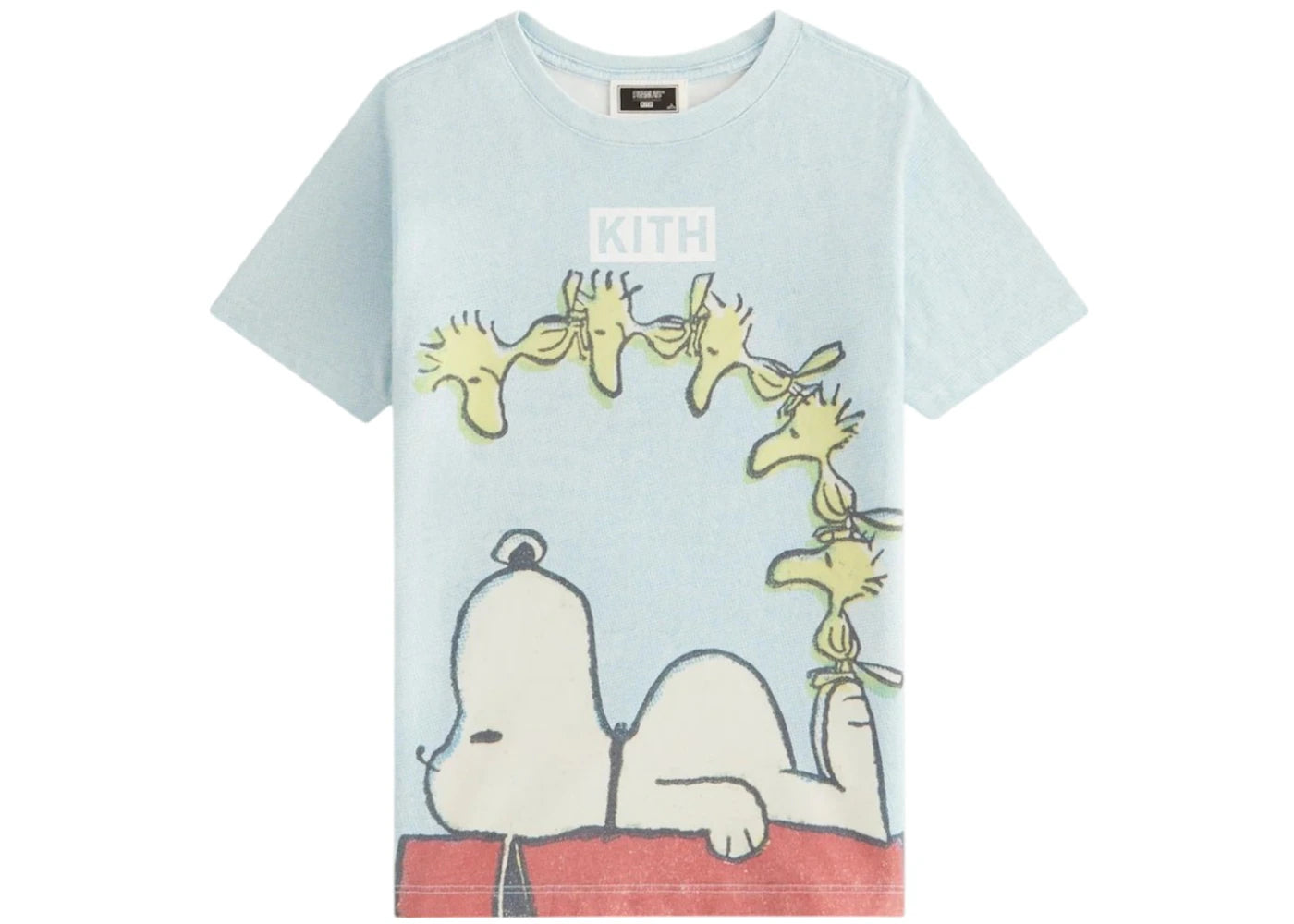 Kith x Peanuts Kids Woodstock Doghouse Vintage Tee-Glisten