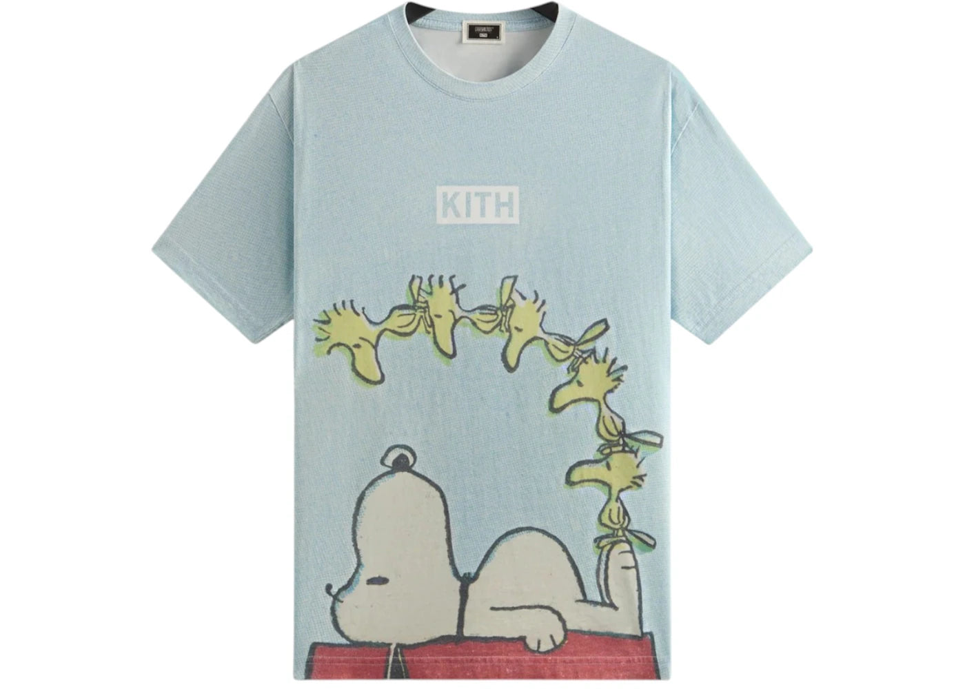 Kith x Peanuts Woodstock Doghouse Comic Vintage Tee-Glisten