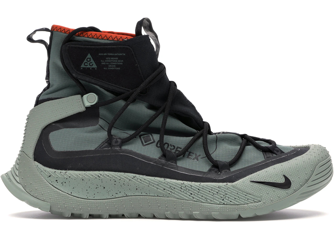 Nike ACG Terra Antarktik GORE-TEX-Juniper Fog