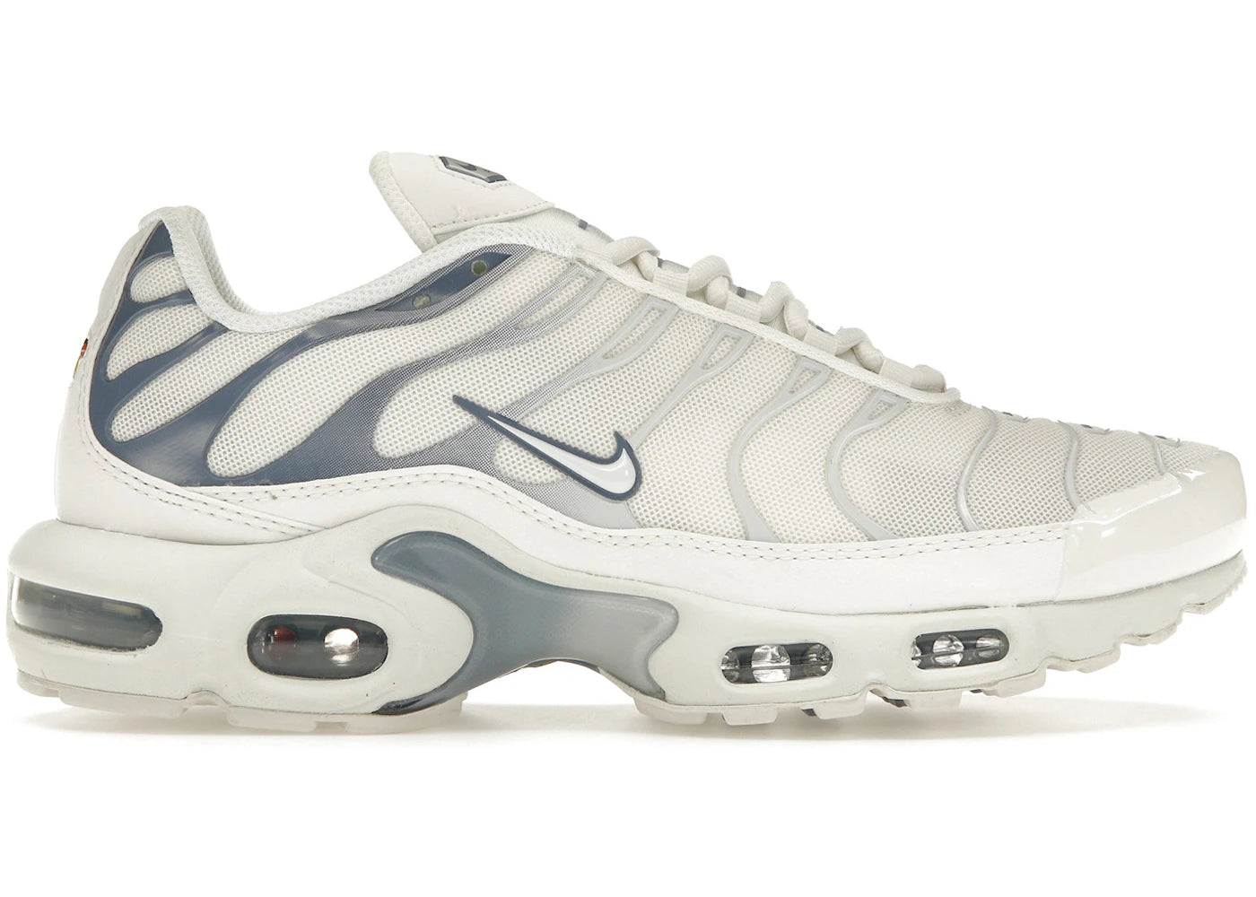 Nike Air Max Plus Gris Ardoise (Femme)