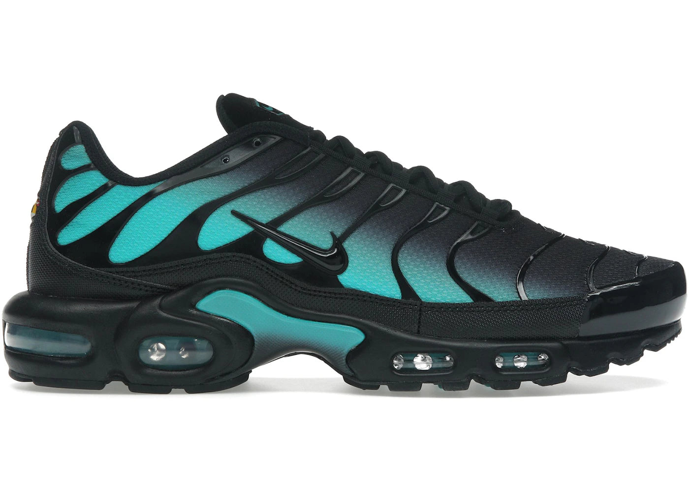 Nike Air Max Plus-Black Dusty Cactus