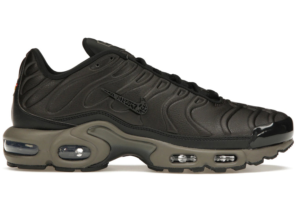 Nike Air Max Plus Premium Paris - main view