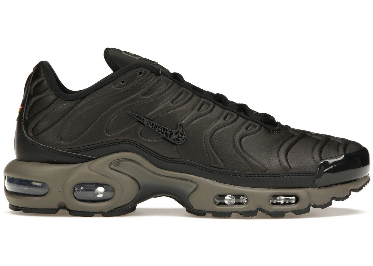 Nike Air Max Plus Premium Paris - main view