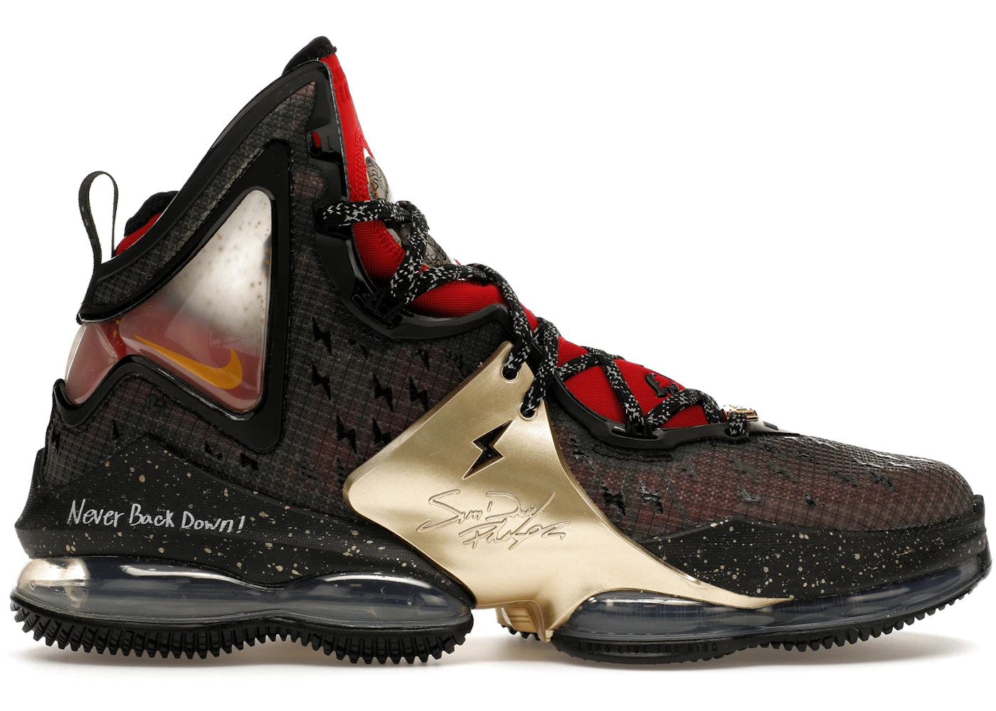 Nike LeBron 19-Doernbecher Sam David