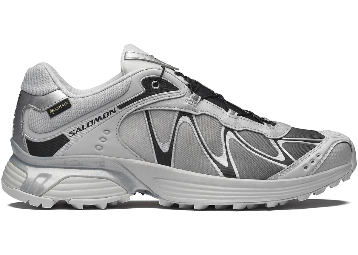Salomon XT-Whisper Gore-Tex Gray Violet Black Silver - main view