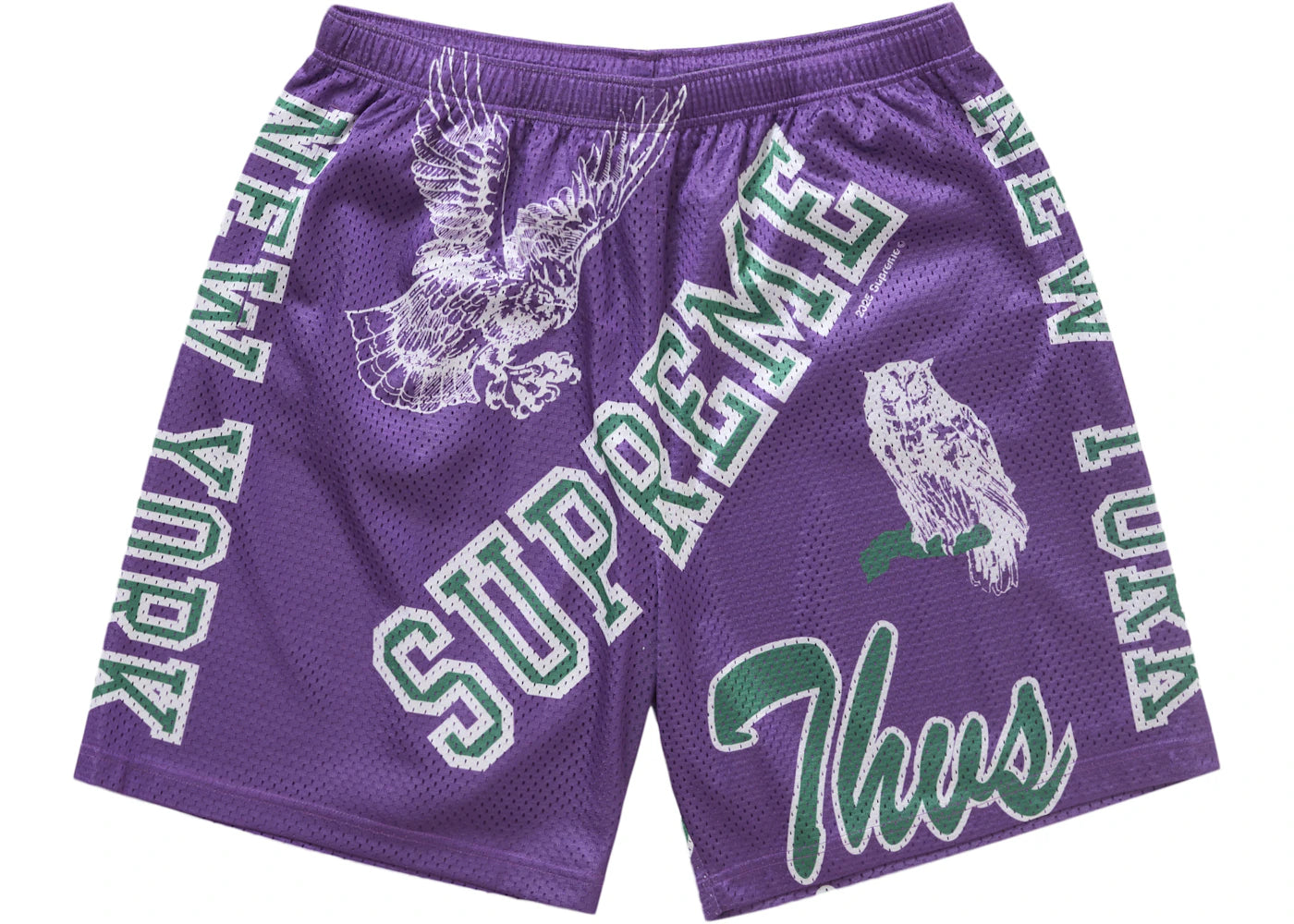 Short Supreme Varsity Mesh Violet