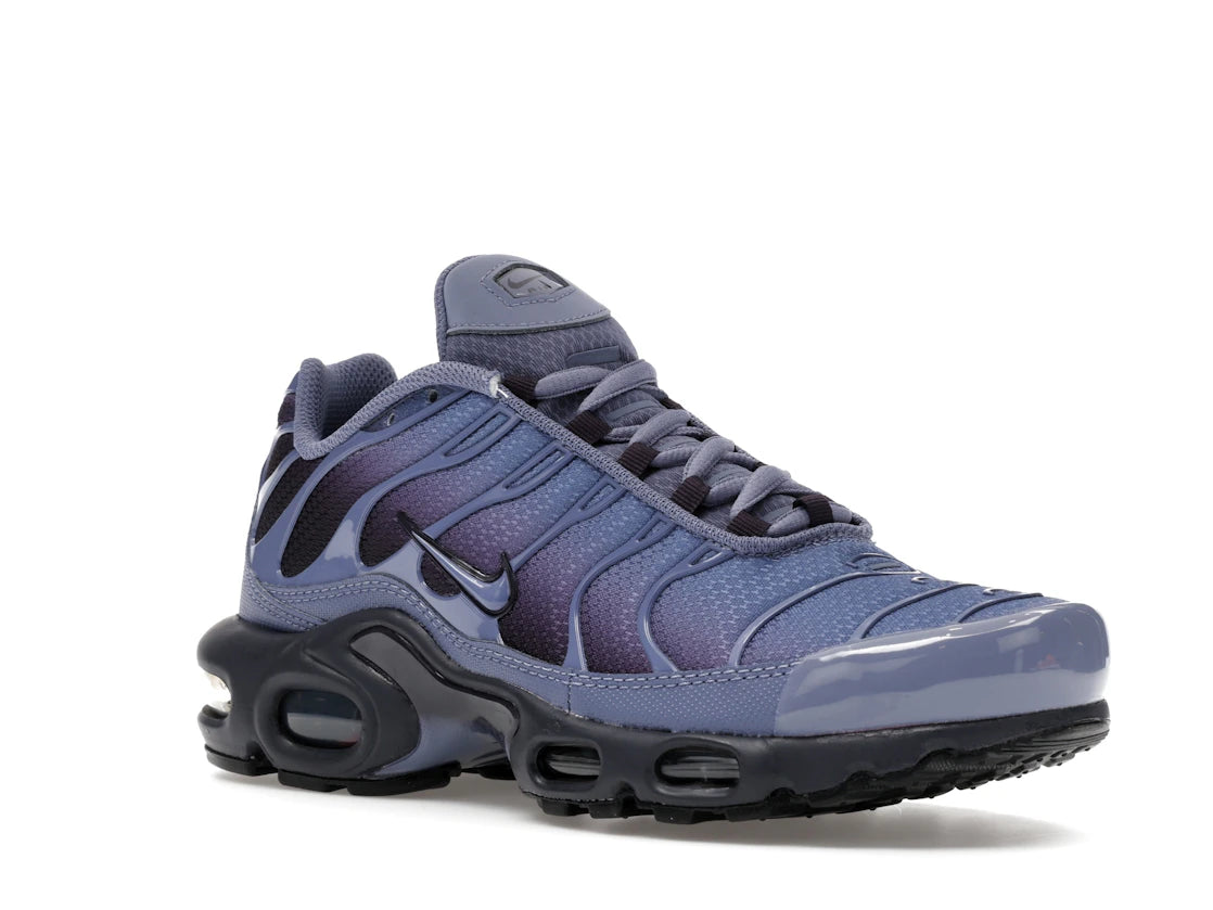 Nike Air Max Plus World Indigo