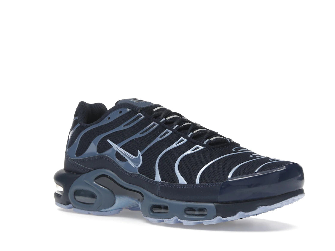 Nike Air Max Plus Obsidian Aluminum