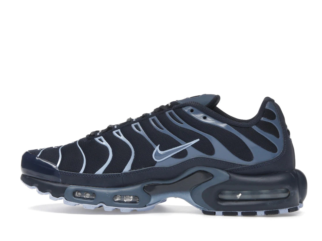 Nike Air Max Plus Obsidian Aluminum